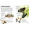 Dk butterflies and moths - ảnh sản phẩm 6