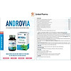 Viên uống androvia dược phẩm an châu xuyên tâm liên giảm cảm cúm, ho - ảnh sản phẩm 5
