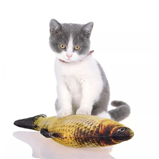 Cá 3d đồ chơi cho mèo nhồi bông ngộ nghĩnh, kích thước 20cm - ảnh sản phẩm 8