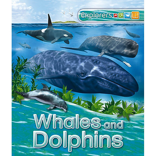 Explorers whales and dolphins - ảnh sản phẩm 1