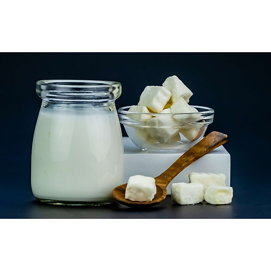 Sữa chua sấy thăng hoa yobite-vị mít 20grams- hỗ trợ tiêu hóa - ảnh sản phẩm 6
