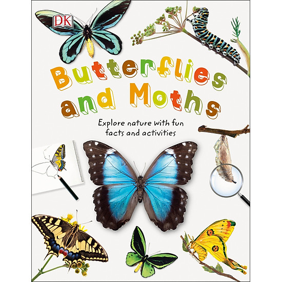 Dk butterflies and moths - ảnh sản phẩm 5