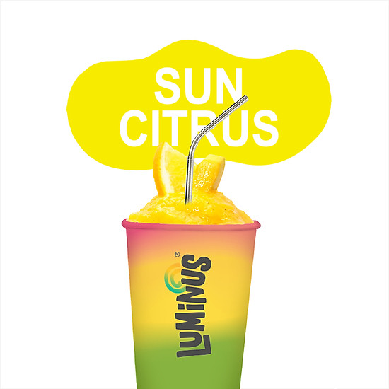 Chỉ giao hcm sun citrus smoothies - 500ml - ảnh sản phẩm 1