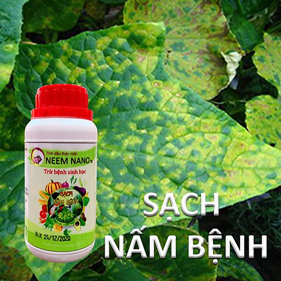 Vườn sinh thái chăm sóc cây trồng - thuốc trừ nấm bệnh sinh học neem nano - ảnh sản phẩm 6