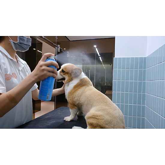 Khử mùi hôi, nước tiểu cho thú cưng bnp chai 250ml - dạng xịt phun sương - ảnh sản phẩm 5