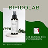 Xịt dưỡng tóc bifidolab men vi sinh hàn quốc, hỗ trợ phục hồi hư tổn - ảnh sản phẩm 2