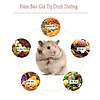 Thức ăn ngũ cốc hỗn hợp cho hamster 500gr rau củ quả tăng cường dinh dưỡng - ảnh sản phẩm 2