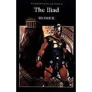 The Iliad Paperback