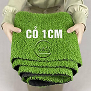 Cỏ nhân tạo 1cm, thảm cỏ nhân tạo dán tường 1cm tính theo m2 - Thảm cỏ