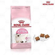 royal canin kitten hạt cho mèo con