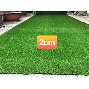Thảm cỏ nhân tạo sân vườn 2cm loại tốt combo 10m2 rộng 2m x5m 10m giá rẻ