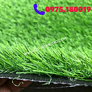 Thảm cỏ nhân tạo sân vườn 3cm chất lương cao Cỏ nhân tạo SG