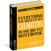everything you need to ace Chemistry - Big Fat Notebooks - Sổ tay hóa học