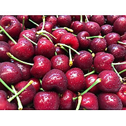 Chỉ Giao HCM Cherry Canada - 1kg