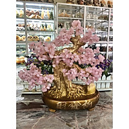Cây tài lộc bonsai phong thủy đá thạch anh hồng - Cao 40 cm