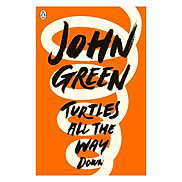 Turtles All The Way Down Paperback