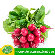 Chỉ Giao HCM - Củ Cải Đỏ hữu cơ Organicfood - 350g