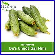 Hạt Giống Dưa Chuột Gai Mini