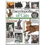 Encyclopedia Of Cats