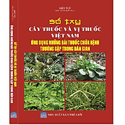 Sách Sổ Tay Cây Thuốc Và Vị Thuốc Việt Nam