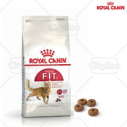royal canin fit32 hạt cho mèo lớn bao 10kg
