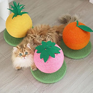Trụ cào móng trái cây siêu dễ thương cho mèo