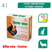 Vemedim Effervita-Amino bổ sung vitamin, amino acid, khoáng cho chim