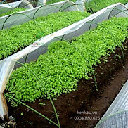 Vòm luống trồng rau Combo 20 vòm 1.2m Hàng Chính Hãng DAIM Nhật Bản Lõi