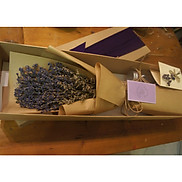 Hộp hoa khô lavender oải hương tự nhiên nhập khẩu Pháp