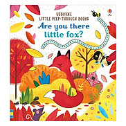 Sách thiếu nhi tiếng Anh - Usborne Are you there little fox