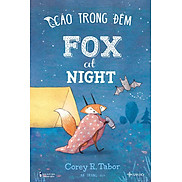 Fox At Night - Cáo Trong Đêm