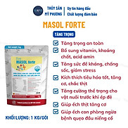 Siêu tăng trọng đạm thủy phân Masol Forte chắc thịt nặng cân chống sốc cho