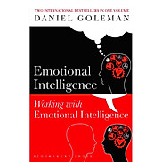 Emotional Intelligence & Working with Emotional Intelligence