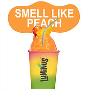 Chỉ giao HCM Smell Like Peach Smoothies - 500ml