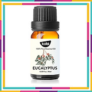 Tinh Dầu Khuynh Diệp Kobi Eucalyptus Essential Oil Giúp Hỗ Trợ Hệ Hô Hấp