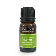 Tinh dầu tràm trà - Pure essential oil 10 ml - TEA TREE