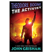 Theodore Boone The Activist