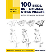 Draw Like An Artist 100 Birds, Butterflies, And Other Insects