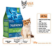 Thức Ăn Hạt Cho Mèo Anh Lông Ngắn Nutrience Subzero Bao 500g
