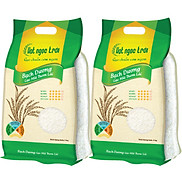 Combo 2 sản phẩm Gạo Hạt Ngọc Trời Bạch Dương Túi 5Kg - Thơm lài, ít dẻo