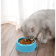 Chén Bát Ăn Nhựa Tròn Cho Chó Mèo