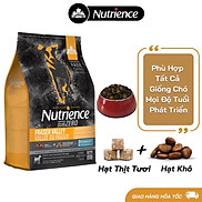Thức Ăn Hạt Cho Chó Poodle - Nutrience Subzero Bao 5kg