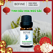 Tinh dầu hoa ngũ sắc Befine - hỗ trợ viêm xoang mũi