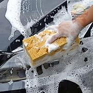 Dung dịch tẩy rửa xe máy ô tô hơi Car shampoo