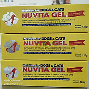 Gel dinh dưỡng, thức ăn bổ sung, dưỡng chất tổng hợp, vitamin cho chó mèo