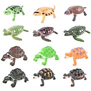 Đồ chơi 12 mô hình con Rùa đáng yêu Natural Turtle nhựa độc đáo cho bé