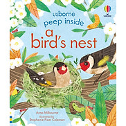 Peep Inside a bird s nest