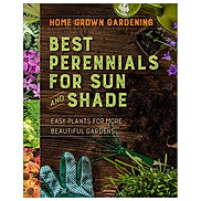 Best Perennials for Sun and Shade Home Grown Gardening
