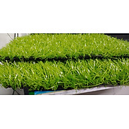 Thảm cỏ nhựa nhân tạo sợi cỏ dài 2cm màu xanh non trang trí tiểu cảnh sân