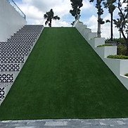 Combo 15 m2 thảm cỏ nhân tạo sân vườn sợi 2cm